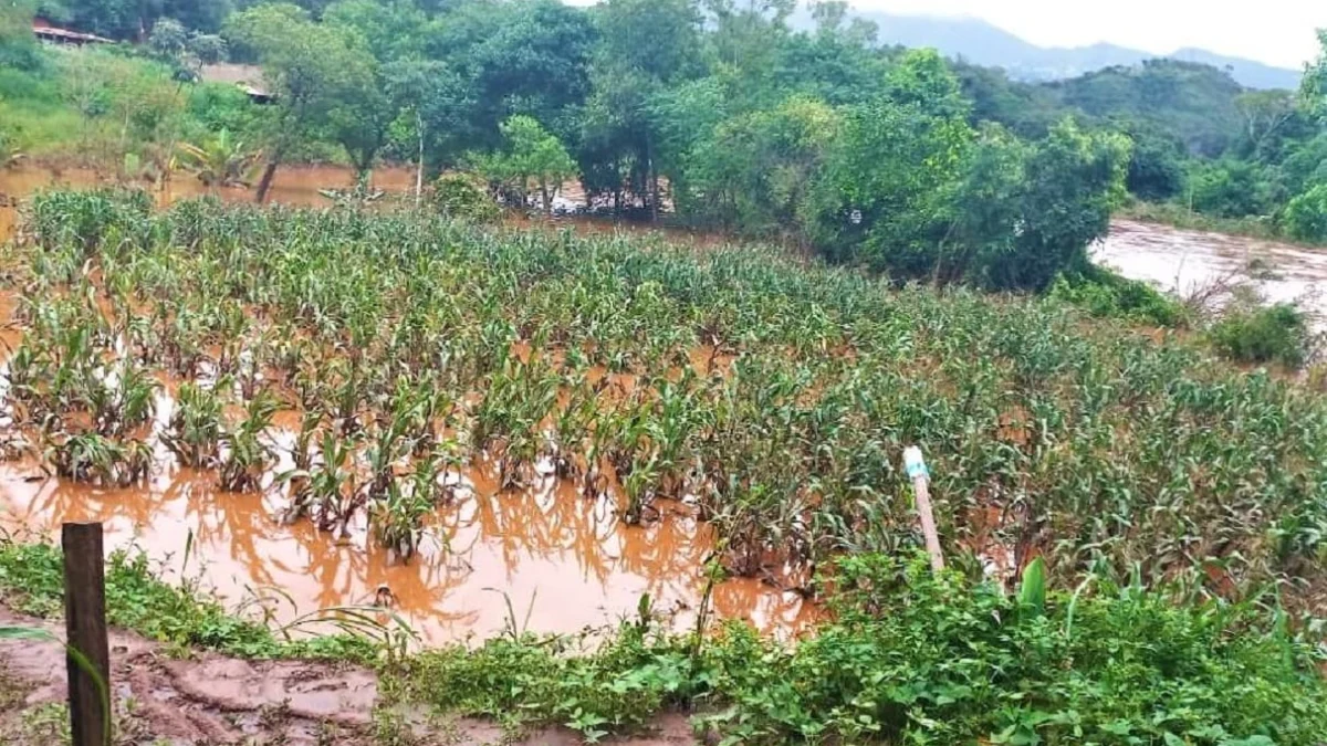 Garantia-Safra será pago para mais de 35 mil agricultores em Minas a partir deste mês 1 Uma boa notícia para os agricultores familiares que registraram grandes perdas nas lavouras na safra 2022/2023, seja por seca ou por
