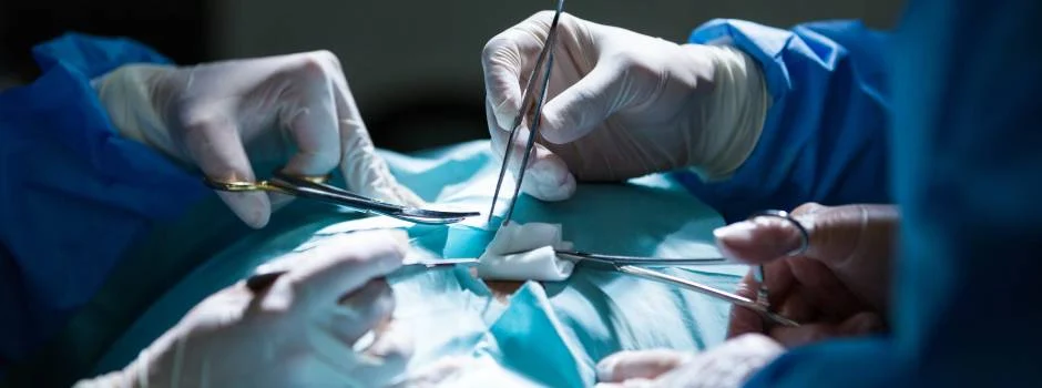 O procedimento foi conduzido pelos médicos Rodolfo Guillermo Vigil Verastegui, Maurício Cavalieri e Pedro Torres e durou em média duas horas