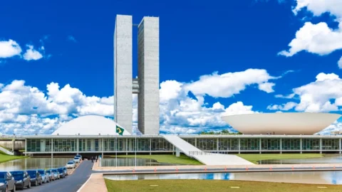 Ah, a Democracia! 2 Ah, a Democracia!