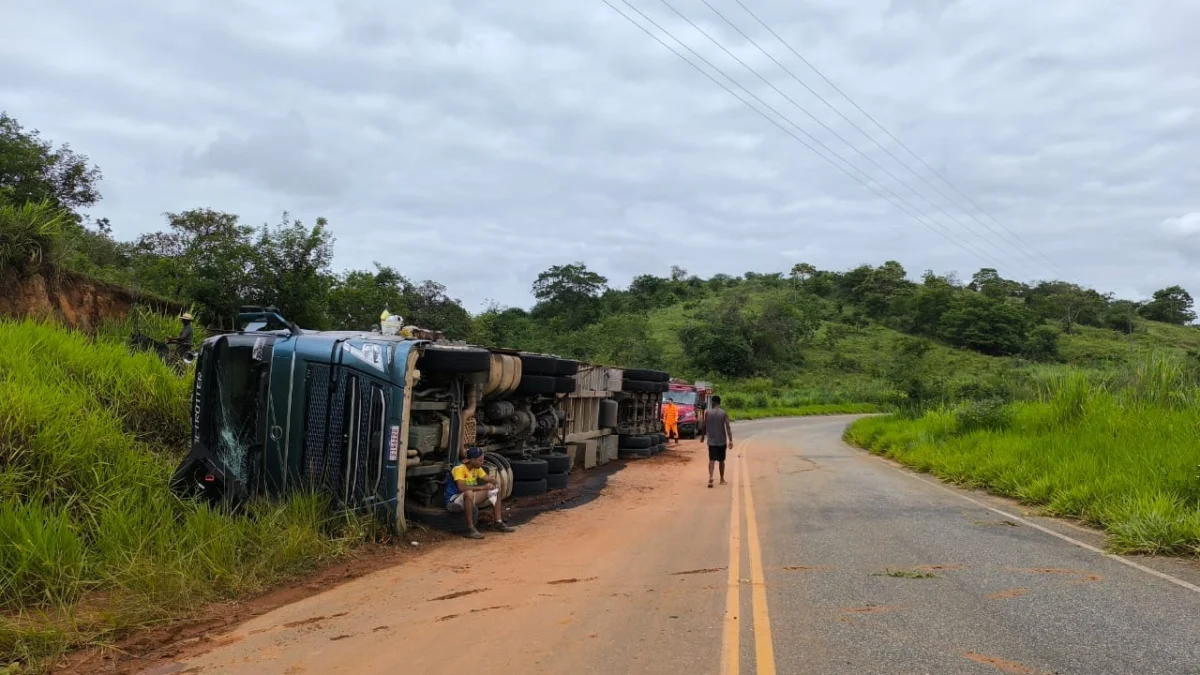 Carreta carregada com quase 100 cabeças de bovinos tomba próximo a Governador Valadares 1 O caminhão tombou pela lado direito e ficou tombado no acostamento da rodovia