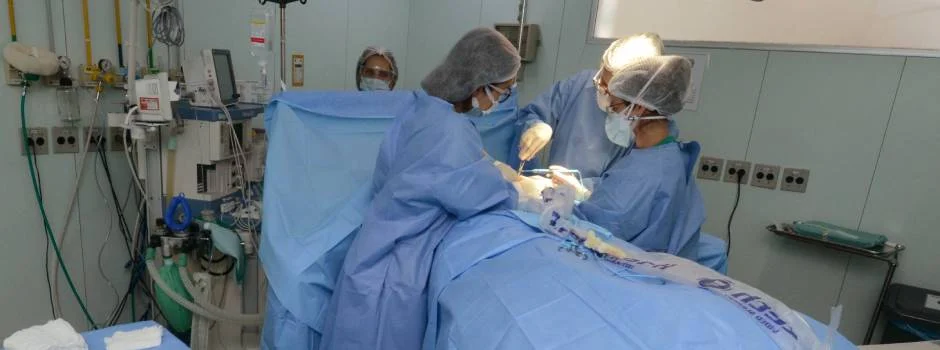 Entre os benefícios trazidos por esse modelo está a maior agilidade para a resolução de questões fundamentais da rotina assistencial, como