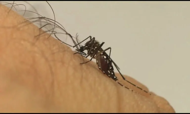 A iniciativa contempla medicamentos que tratam sintomas da dengue e outras doenças que acometem a população brasileira na Atenção Primária