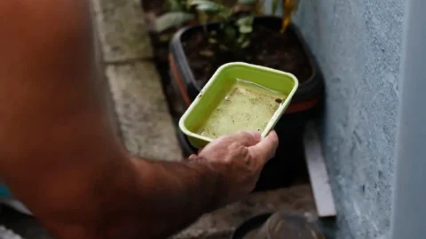 IdeiaSUS Fiocruz lança compilado de experiências bem-sucedidas de combate à dengue