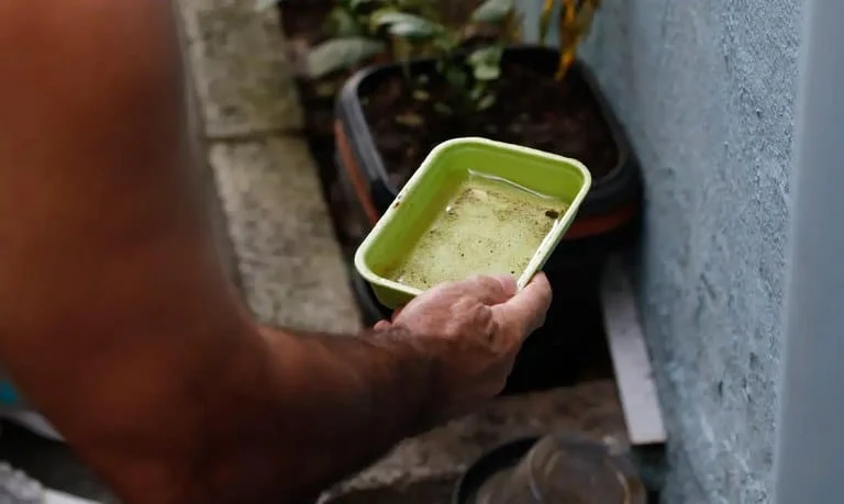 IdeiaSUS Fiocruz lança compilado de experiências bem-sucedidas de combate à dengue 1 O Brasil já ultrapassa 1,2 milhão de casos prováveis de dengue e 278 mortes pela infecção