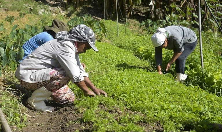 O programa de inclusão produtiva e desenvolvimento sustentável, Rotas de Integração Nacional, completa 10 anos de implementação em 2024