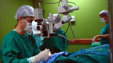 Convênio pode estimular e agilizar doação de órgãos no país 9 Convênio pode estimular e agilizar doação de órgãos no país