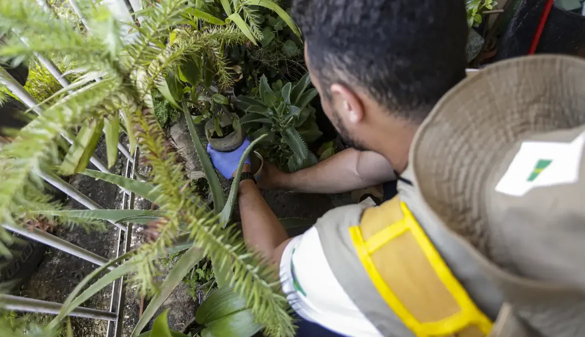 Dia D: secretarias de saúde promovem ações de combate à dengue 1 A ação tem a participação maciça de agentes de saúde, ministros, governadores, prefeitos e secretários para serem porta-vozes no combate