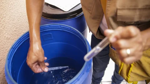 Saúde passa a recomendar testes rápidos para diagnóstico de dengue 2 Saúde passa a recomendar testes rápidos para diagnóstico de dengue