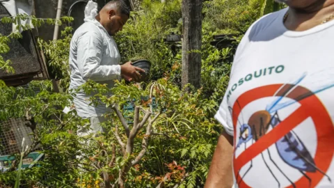 Prefeitura de SP decreta emergência por alto número de casos de dengue 3 Prefeitura de SP decreta emergência por alto número de casos de dengue