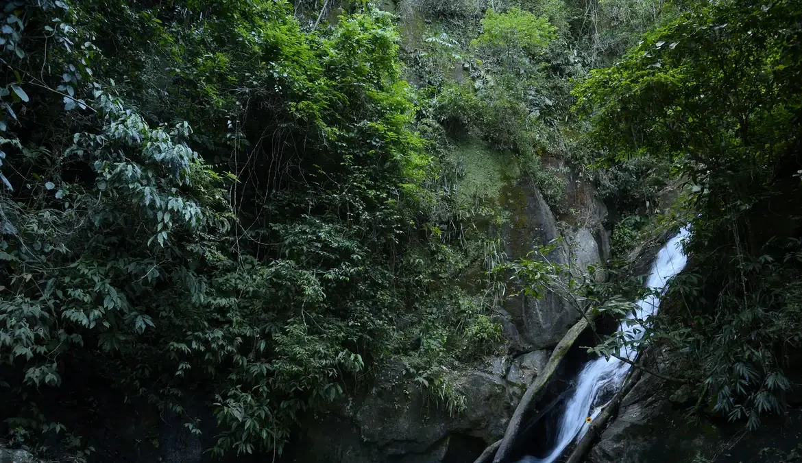 Os parques nacionais do país tiveram um pico de visitação no ano de 2023 com o registro histórico
