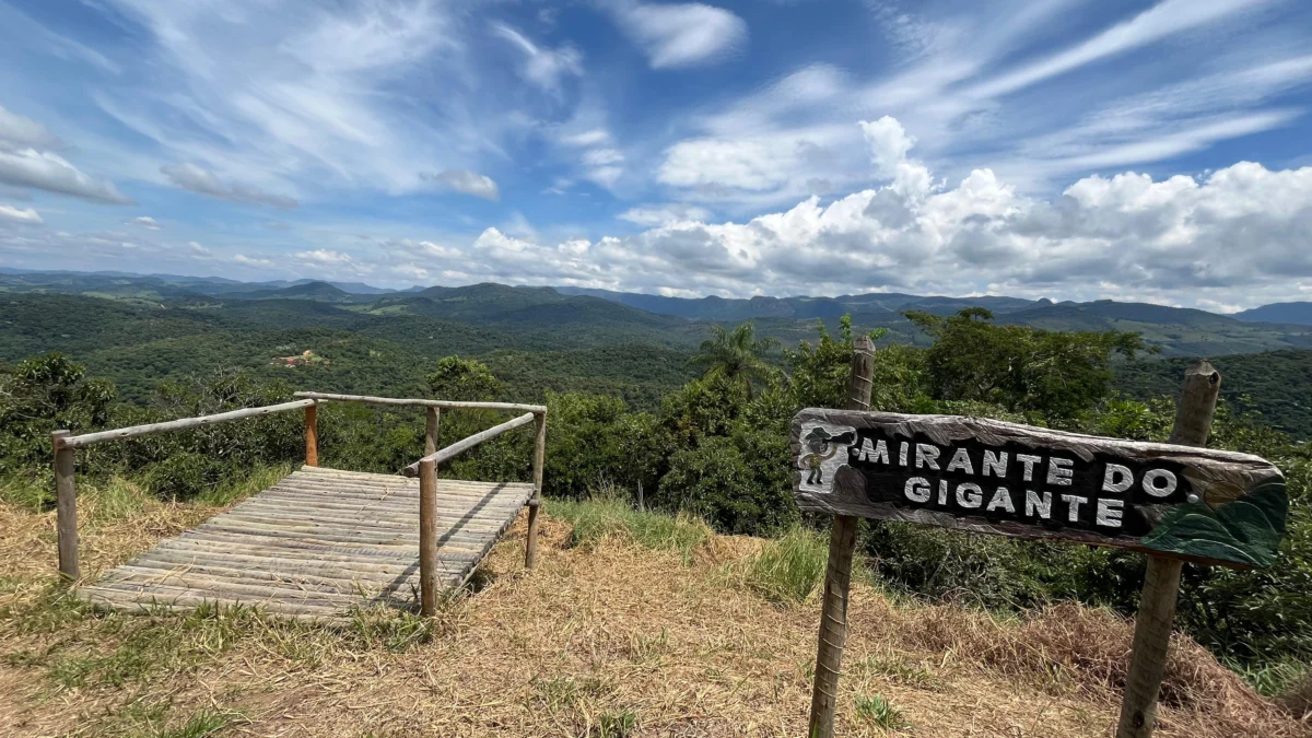 Parque Estadual Mata do Limoeiro ganha novo atrativo turístico 1 Uma caminhada marcou a abertura à visitação de mais um atrativo no Parque Estadual Mata do Limoeiro: o Mirante do Gigante