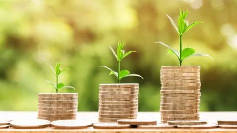 Governo cria comitê misto para definir agenda de finanças sustentáveis
