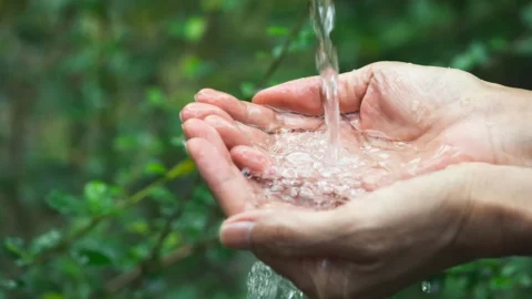 Semad promove capacitação sobre Pagamento por Serviços Ambientais em Minas