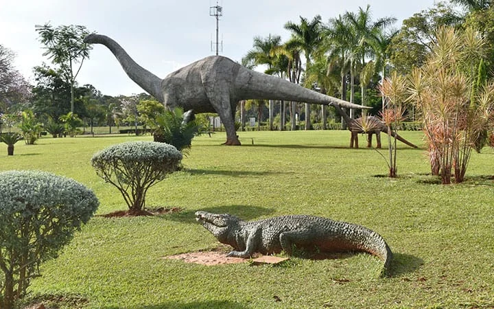 A imensa área coleciona objetos de pesquisa na área de paleontologia e geologia