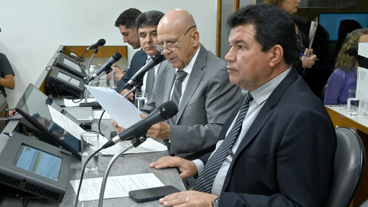 O presidente da comissão relatou os três projetos em pauta
