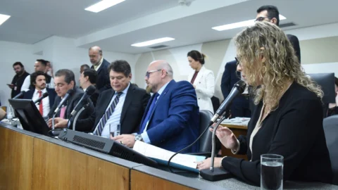 Projetos do governador sobre licença-maternidade avançam na ALMG 2 Projetos do governador sobre licença-maternidade avançam na ALMG