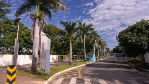 Programa Acolher oferece atendimento psicológico gratuito aos estudantes da Unimontes pelo sistema on-line