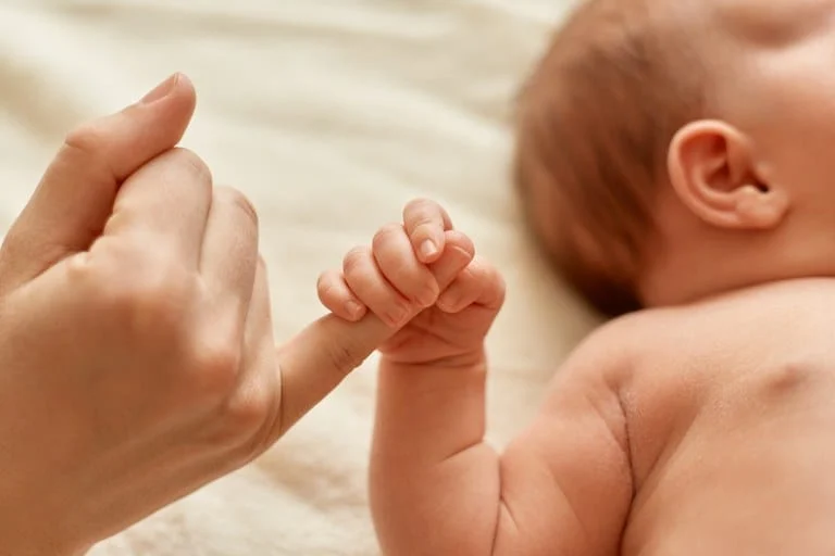 O parecer da AGU ressalta que a medida visa garantir o direito à igualdade das mulheres e a proteção da primeira infância
