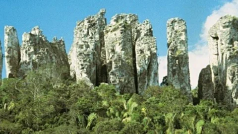 Cartilha apresenta a biodiversidade do Parque Estadual de Sete Salões 9 Cartilha apresenta a biodiversidade do Parque Estadual de Sete Salões