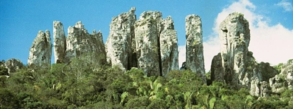 Um convite para explorar, conhecer e se encantar com as maravilhas do Parque Estadual de Sete Salões (Pess), situado na região da bacia