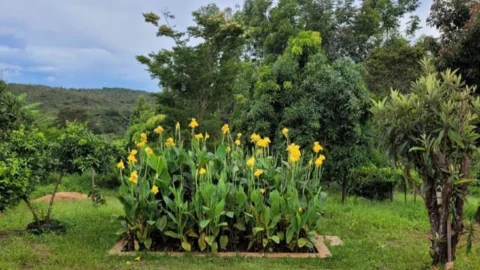 Emater-MG incentiva uso de tecnologias de saneamento rural de baixo custo