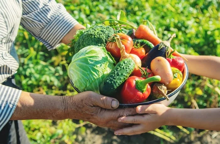 Financiamento da agricultura familiar em Minas Gerais é o tema de reunião da Comissão de Participação Popular