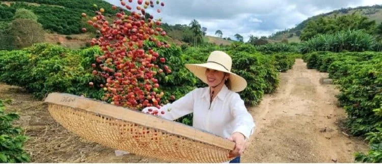 Cafeicultora Fernanda Eloise Sá de Andrade Ribeiro (Diego Vargas / Seapa)