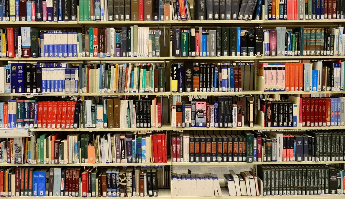Segundo a lei, a atual rede de bibliotecas escolares deverá ser melhorada para também funcionar como centros de ação cultural e educacional
