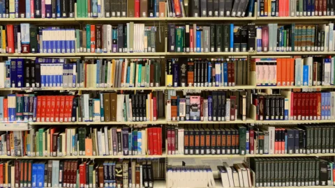 Lei cria Sistema Nacional de Bibliotecas Escolares