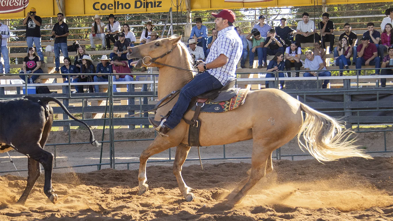 O esporte da família 8 O esporte da família