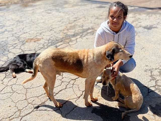 Governo investe em ações de proteção e bem-estar de animais domésticos 2 Governo investe em ações de proteção e bem-estar de animais domésticos