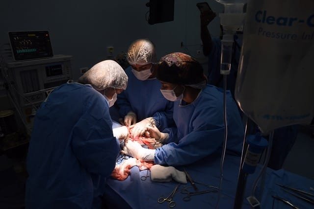 Comissão debate maus-tratos por erro médico-veterinário
