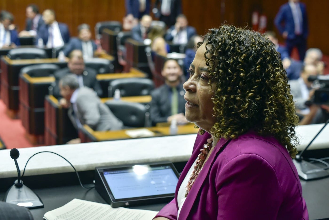 Projeto aprovado de forma definitiva é de autoria da deputada Leninha, 1ª-vice-presidenta da ALMG