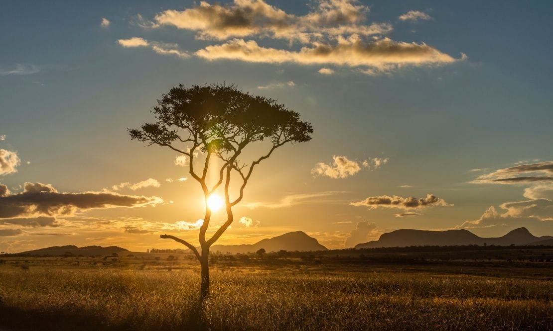 Importância do Cerrado pauta debate da Comissão de Meio Ambiente