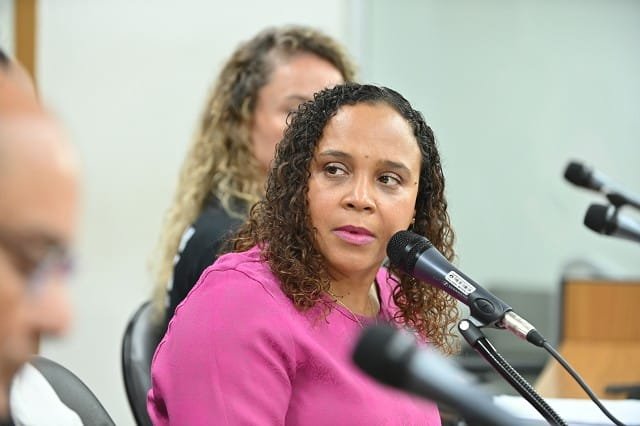 De acordo com a deputada que pediu a audiência, também será apresentado um balanço das ações da comissão – Arquivo ALMG