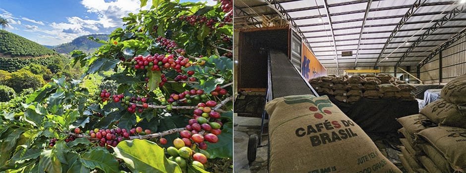 Pela primeira vez, exportações do agro mineiro superam segmento da mineração 5 Pela primeira vez, exportações do agro mineiro superam segmento da mineração