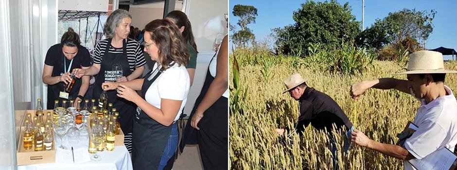 Emater-MG completa 76 anos e celebra conquistas de 2024 com homenagens aos extensionistas rurais 1 O evento contou com a presença de diversas autoridades e destacou alguns trabalhos de grande relevância desenvolvidos pela empresa