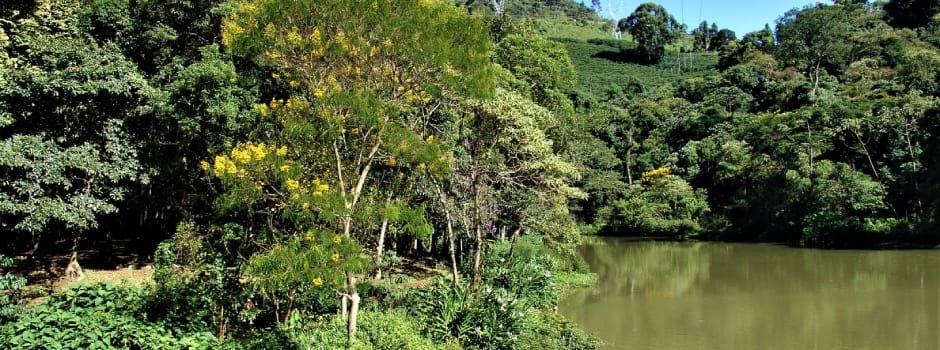 Unidades Regionais da Feam alcançam 100% de cumprimento nos prazos de análise de processos de licenciamento ambiental em 2024 2 Unidades Regionais da Feam alcançam 100% de cumprimento nos prazos de análise de processos de licenciamento ambiental em 2024