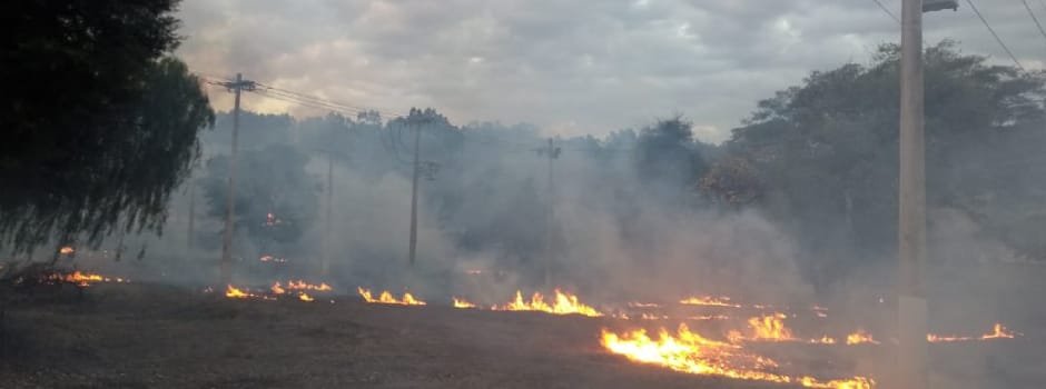 Cemig participa da criação do Plano de Proteção Contra Incêndios Florestais da ABNT 1 Esses incêndios também ameaçam projetos desenvolvidos pela Cemig com o objetivo de fomentar a conservação de fauna e flora