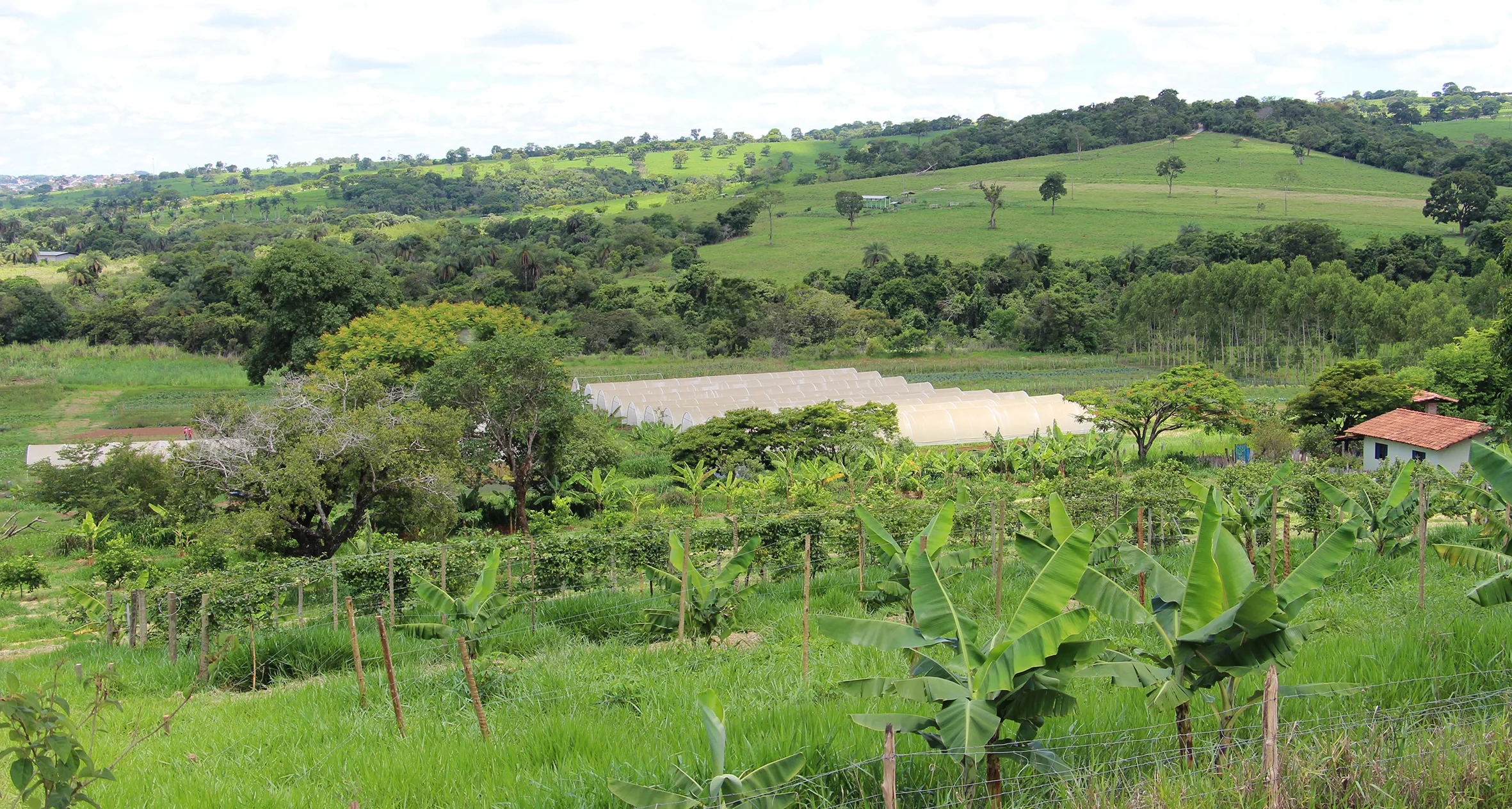Plataforma do Cadastro Ambiental Rural já analisou mais de 1 milhão de imóveis em Minas 3 Plataforma do Cadastro Ambiental Rural já analisou mais de 1 milhão de imóveis em Minas