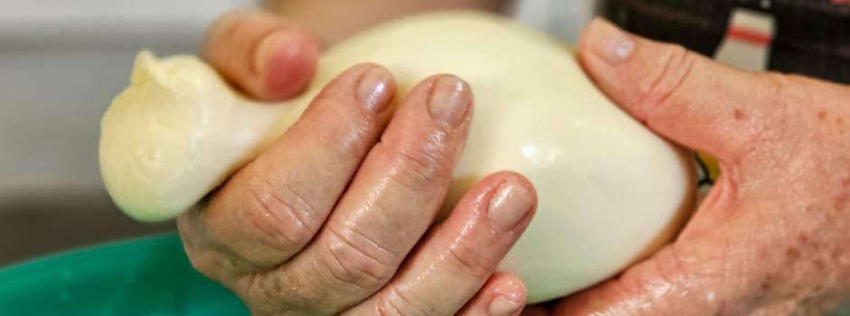 Projeto ‘Queijo Minas Legal’ incentiva a regularização de queijarias informais 2 Projeto ‘Queijo Minas Legal’ incentiva a regularização de queijarias informais
