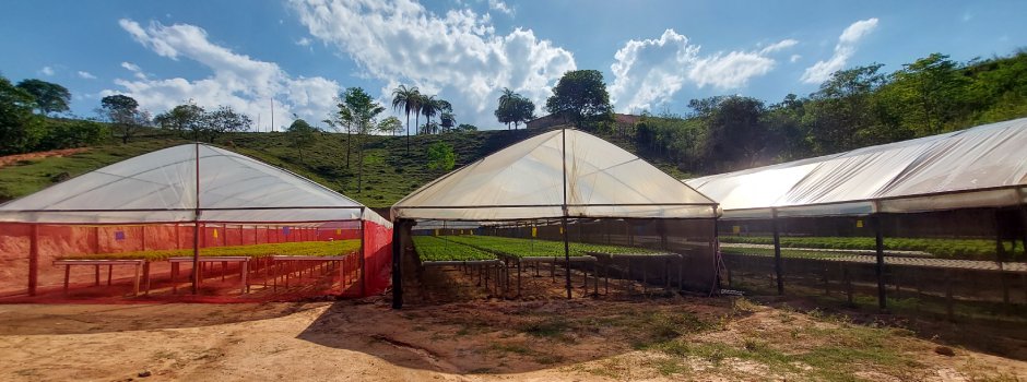 Programa Fomento Agro repassou mais de 35 mil itens para produção agropecuária em Brumadinho, em 2024 
