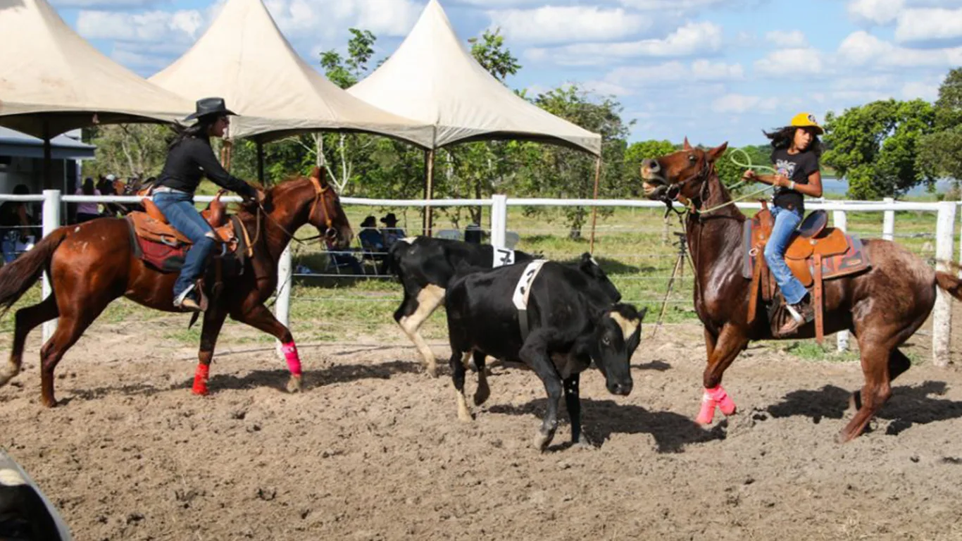 Ranch Sorting: O esporte que vem conquistando corações 5 Ranch Sorting: O esporte que vem conquistando corações
