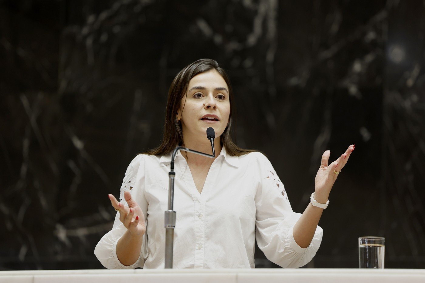 Definida a composição dos blocos para o segundo biênio 1 Deputada Lohanna (PV) foi escolhida para liderar a Bancada Feminina, a maior da história da ALMG