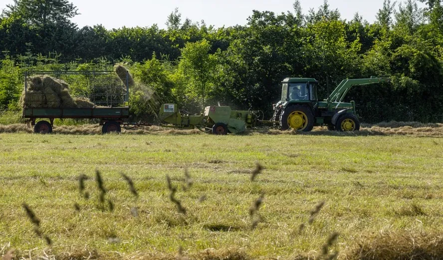 Plataforma Selo Verde integra 1,1 milhão de propriedades rurais e amplia rastreabilidade da pecuária em Minas 4 Plataforma Selo Verde integra 1,1 milhão de propriedades rurais e amplia rastreabilidade da pecuária em Minas