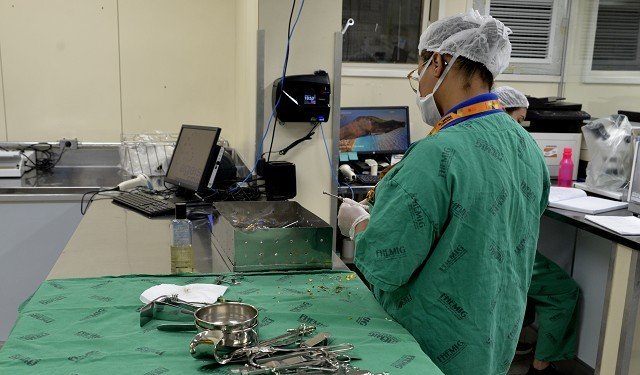 Hospital Maria Amélia pauta atividades de comissão 1 HMAL e João XXIII são hospitais da rede de urgência e emergência da Fhemig, mas o governo estadual quer transformar o HMAL em unidade