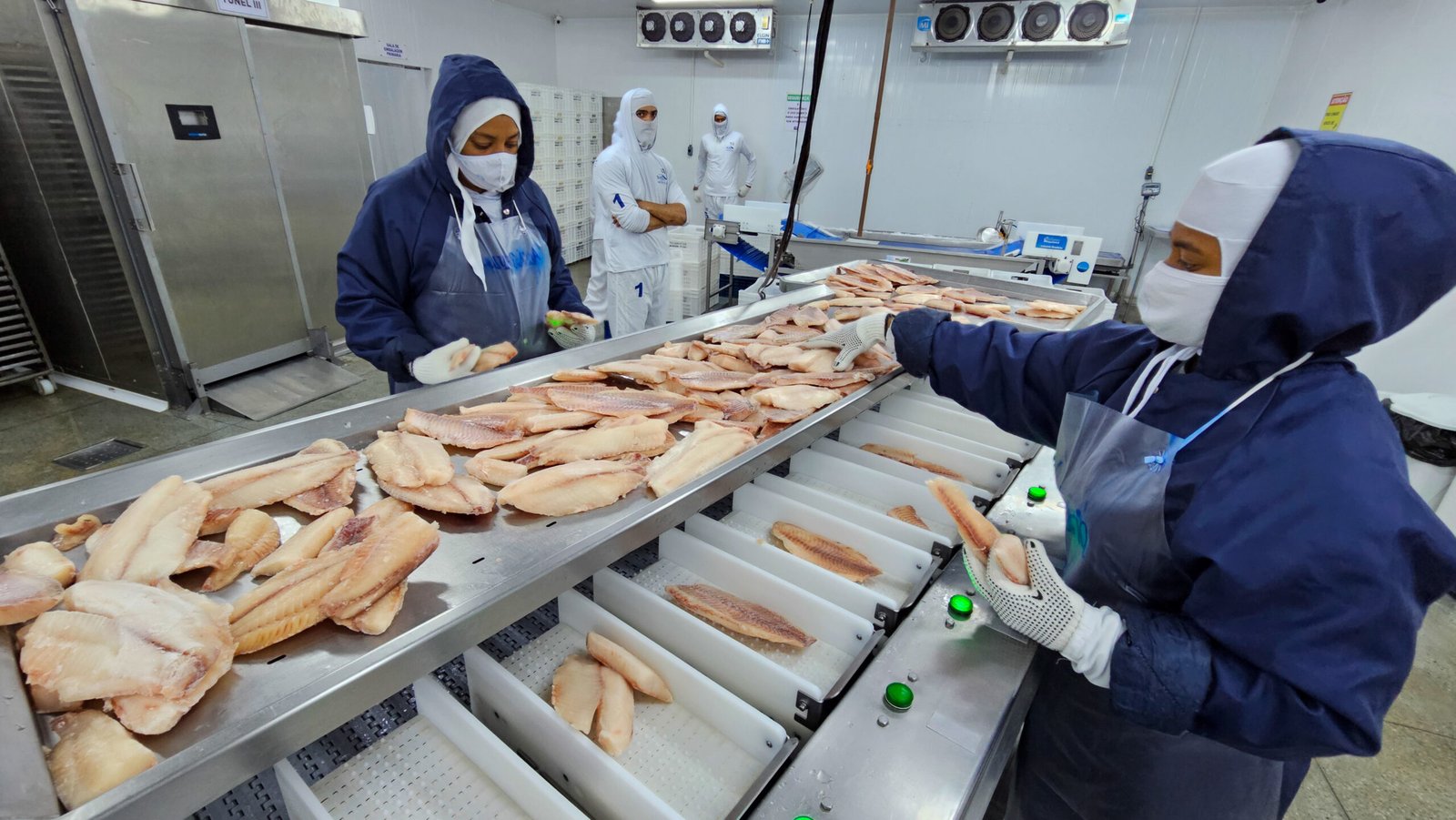 Governo de Minas apoia piscicultura na maior cidade produtora de tilápias do Brasil