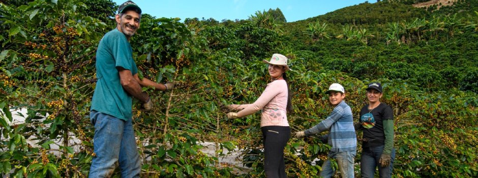 No Mês da Mulher, cafeicultora premiada da Zona da Mata atribui sucesso a constante aprendizado 1 Altilina (à dir.) com a família no Sítio Forquilha do Rio