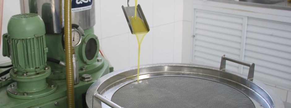 Laboratório da Epamig realiza avaliações que identificam as potencialidades da azeitona e do azeite 1 Para identificar os atributos da azeitona e do azeite, a unidade conta com um laboratório de análises físico-químicas que ganhou novos