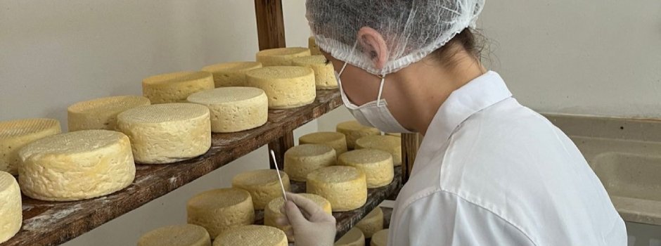 Estudo inédito vai mapear o 'DNA' do Queijo Minas Artesanal do Serro 1 Pela primeira vez, um estudo detalhado está sendo feito para identificar uma espécie de “mapa genético” do Queijo Minas Artesanal (QMA)